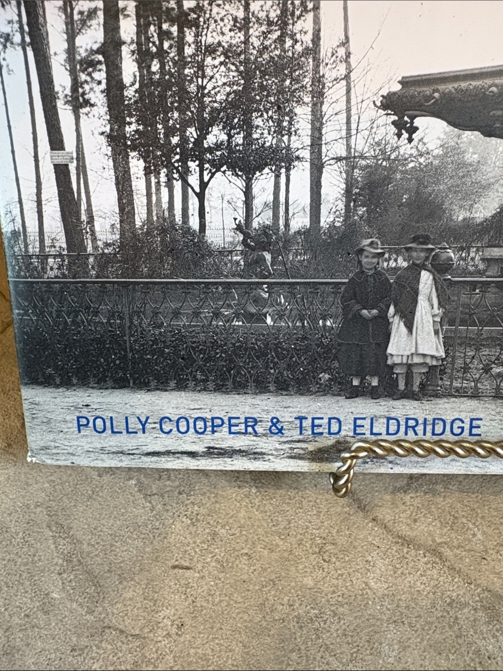 Savannah Then And Now coffee table book - Picture 3 of 13